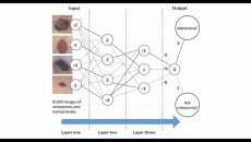 a chart showing how an artificial neural network works