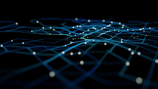 Points joined by lines into a network