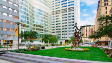 Mayo Clinic