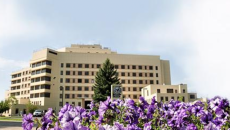 Mann-Grandstaff VA Medical Center