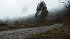 An old, uneven cobblestone road on a hillside in the mist