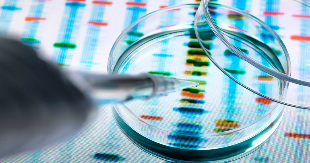 A dropper and a petri dish