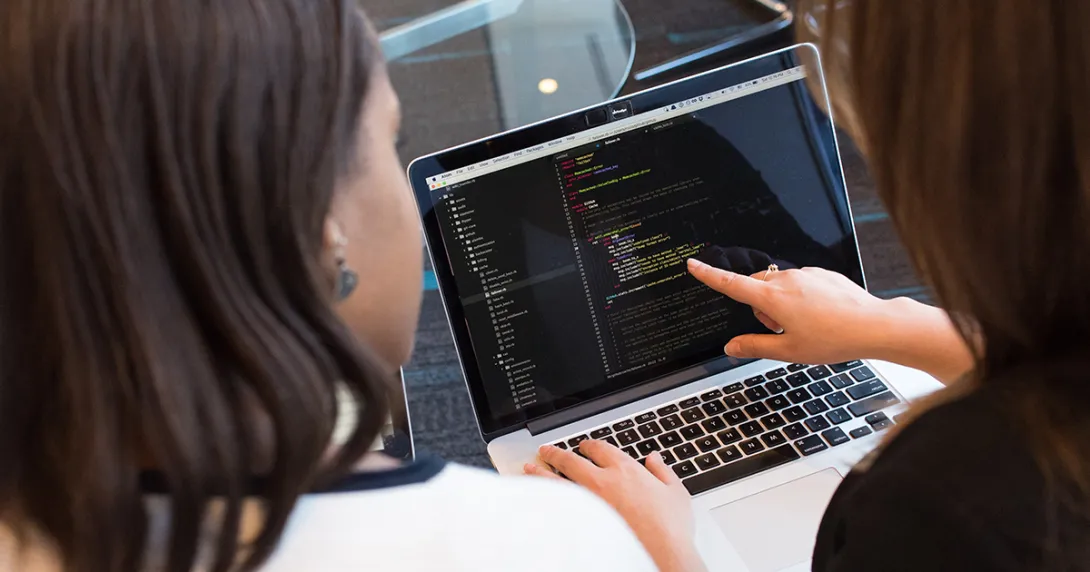 Low-code developers