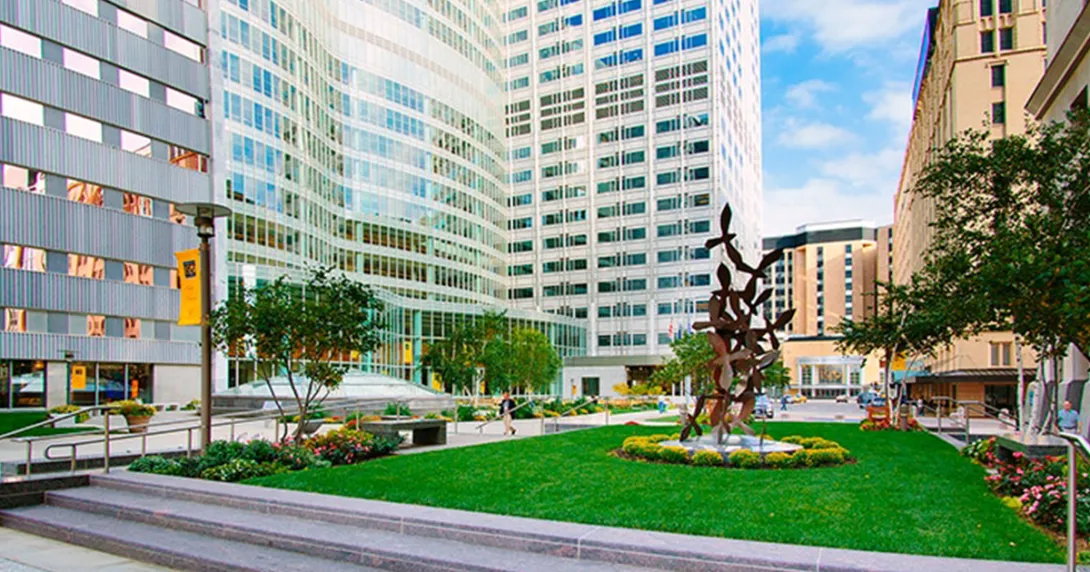Green space at Mayo Clinic