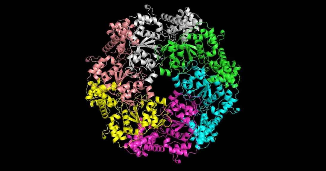 AI model of a protein