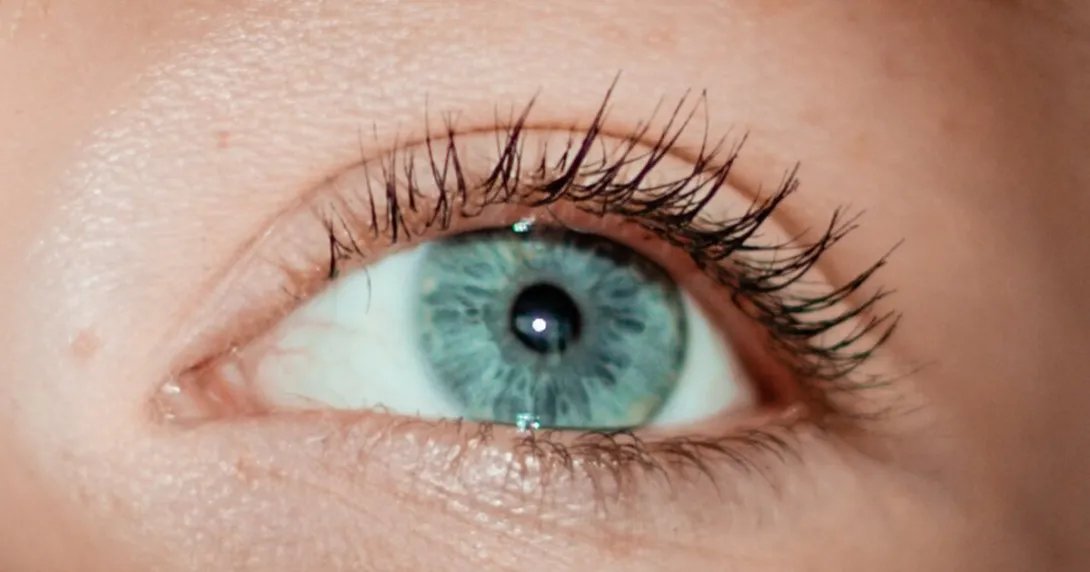 Image of an eye